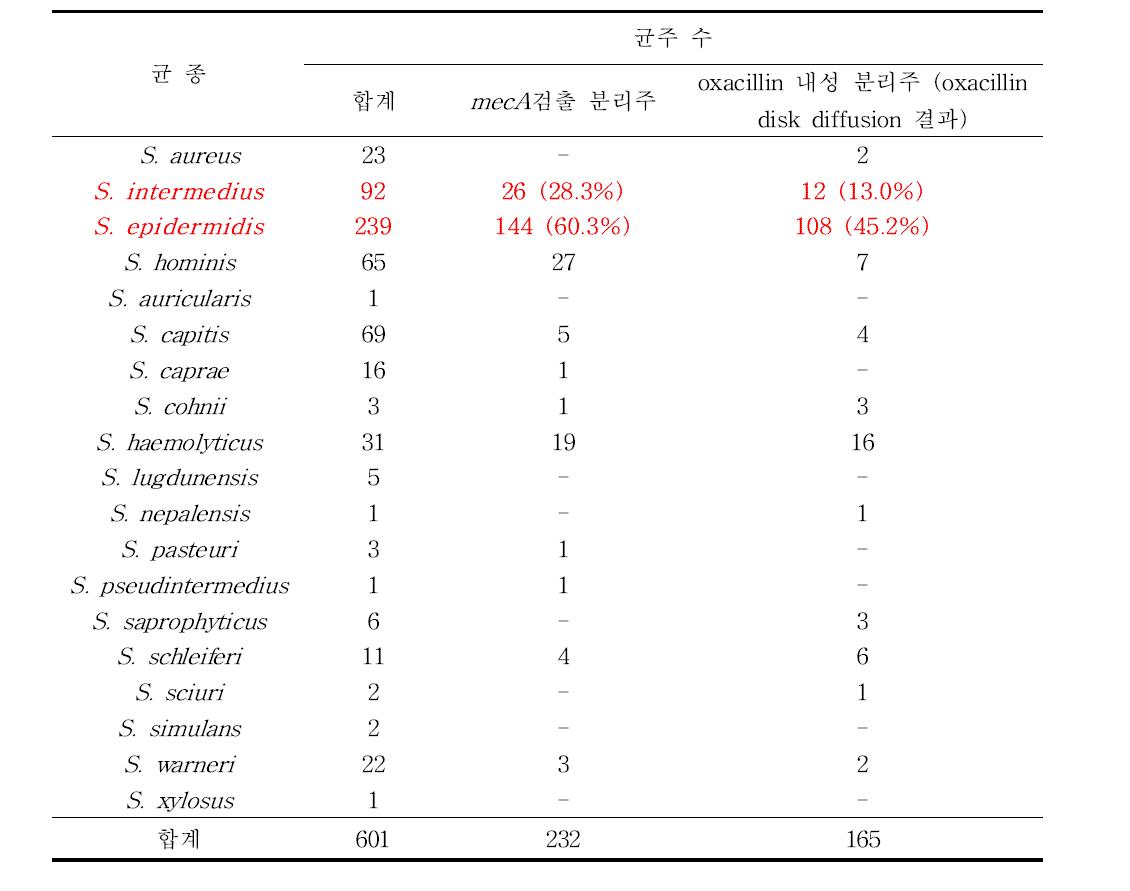 그룹별 Staphylococcus spp. 분리 현황