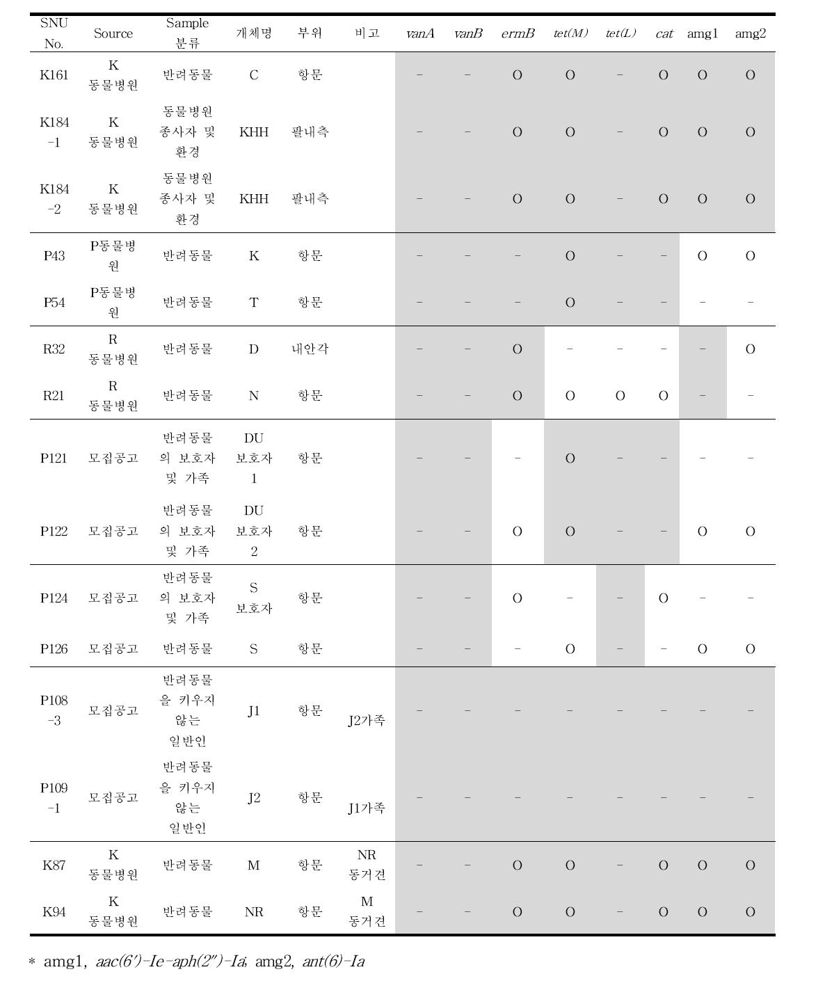 RAPD-PCR 결과 상 동일한 E. faecalis 균주들의 항생제 내성 유전자 비교.