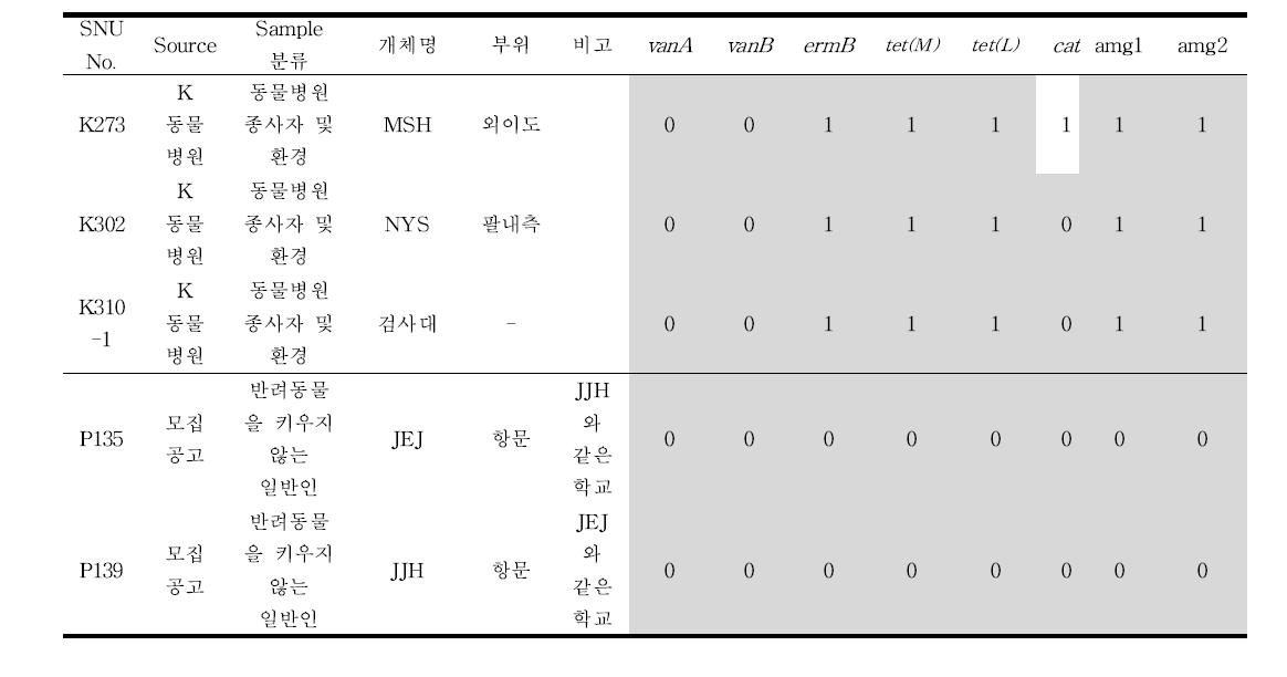 RAPD-PCR 결과 상 동일한 E. faecium 균주들의 항생제 내성 유전자 비교.