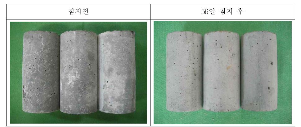 10% Na2SO4 수용액 침지전후 사진, 친환경(40MPa) 콘크리트 조건
