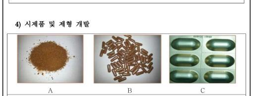 제품의 분말제형(A), 캡슐제제(B) 및 블리스터 포장(C) 형태