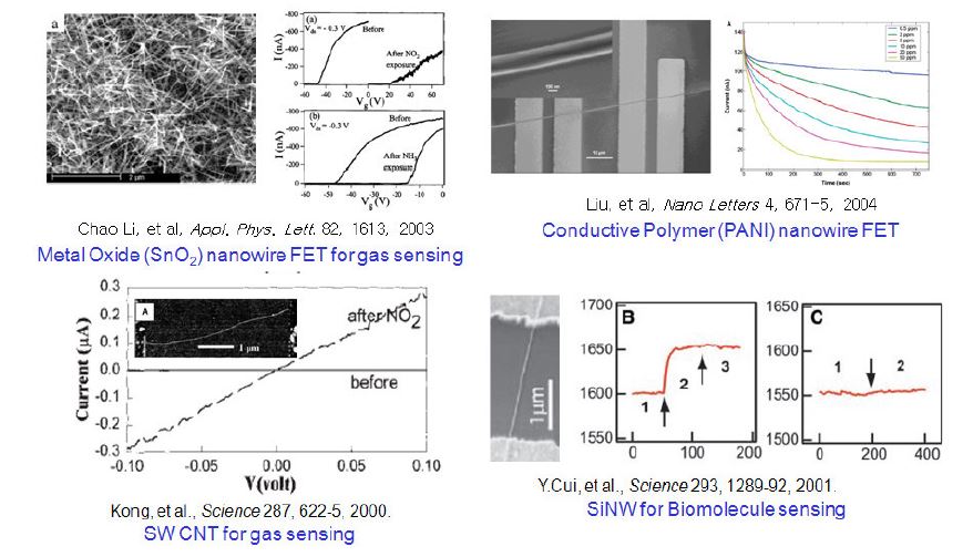나노와이어 및 나노튜브를 이용한 화학, 바이오 센서.