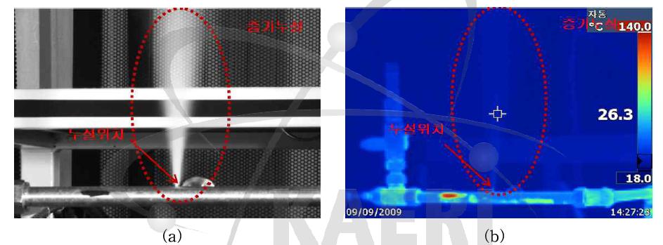 눈에 보이는 증기누설 실험 (a) 일반카메라 영상, (b) 열화상 카메라 영상