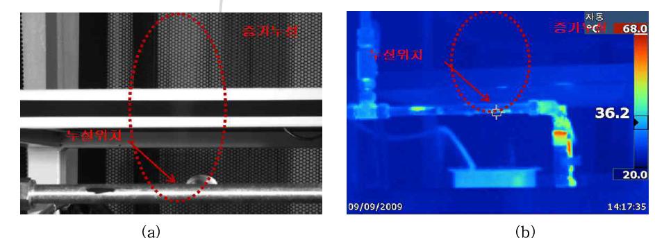 눈에 보이지 않는 고온고압 증기누설 실험 (a) 일반카메라 영상, (b) 열화상 카메라 영상
