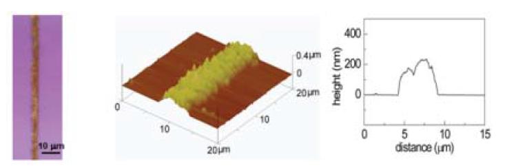 5 μm 선폭의 Cu 전극 배선 (노즐 크기: 5 μm)