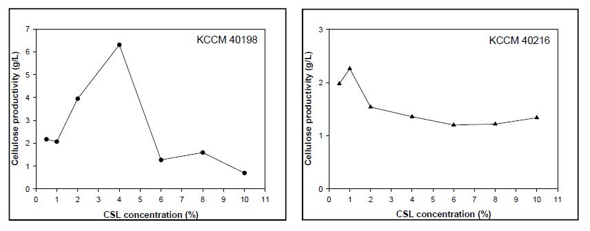 Gluconacetobacter xylinus 균주의 CSL 농도에 따른 상대적 BC 생산 수율.