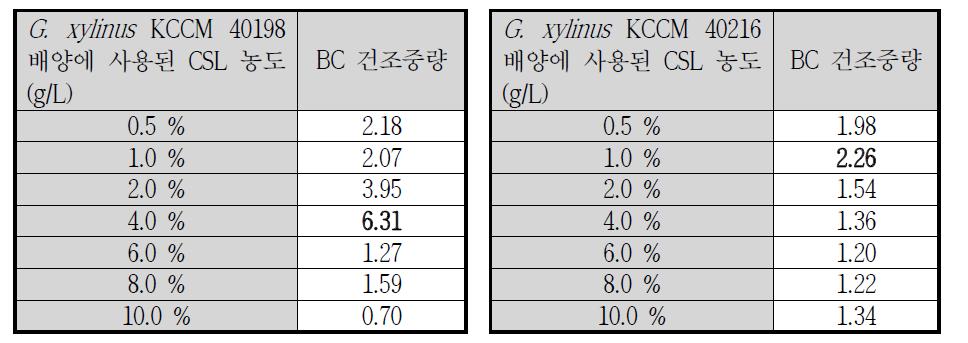 균주의 농도에 따른 BC 건조 중량 Table 6. 균주의 농도에 따른 BC 건조 중량