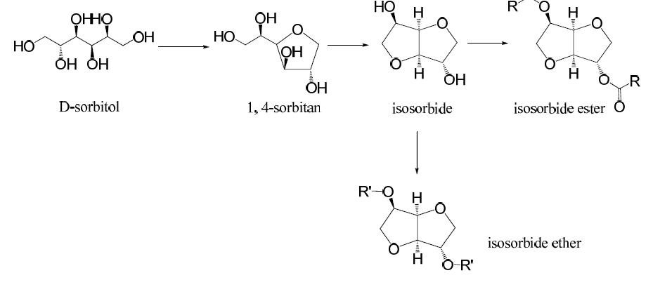 Synthetic scheme of isosorbide based plasticizer.
