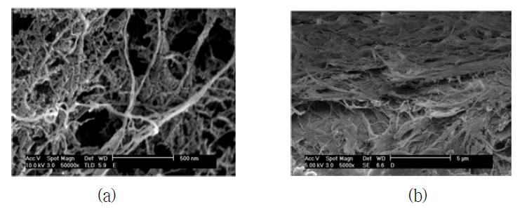 SEM images of freeze dried NFC slurry (a) and NFC film (b).