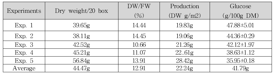 실내배양(수심 5cm)에서 생산된 HR biomass로부터의 glucose 생산성