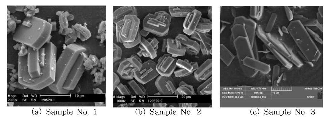 SEM images of synthesized ZSM-5.