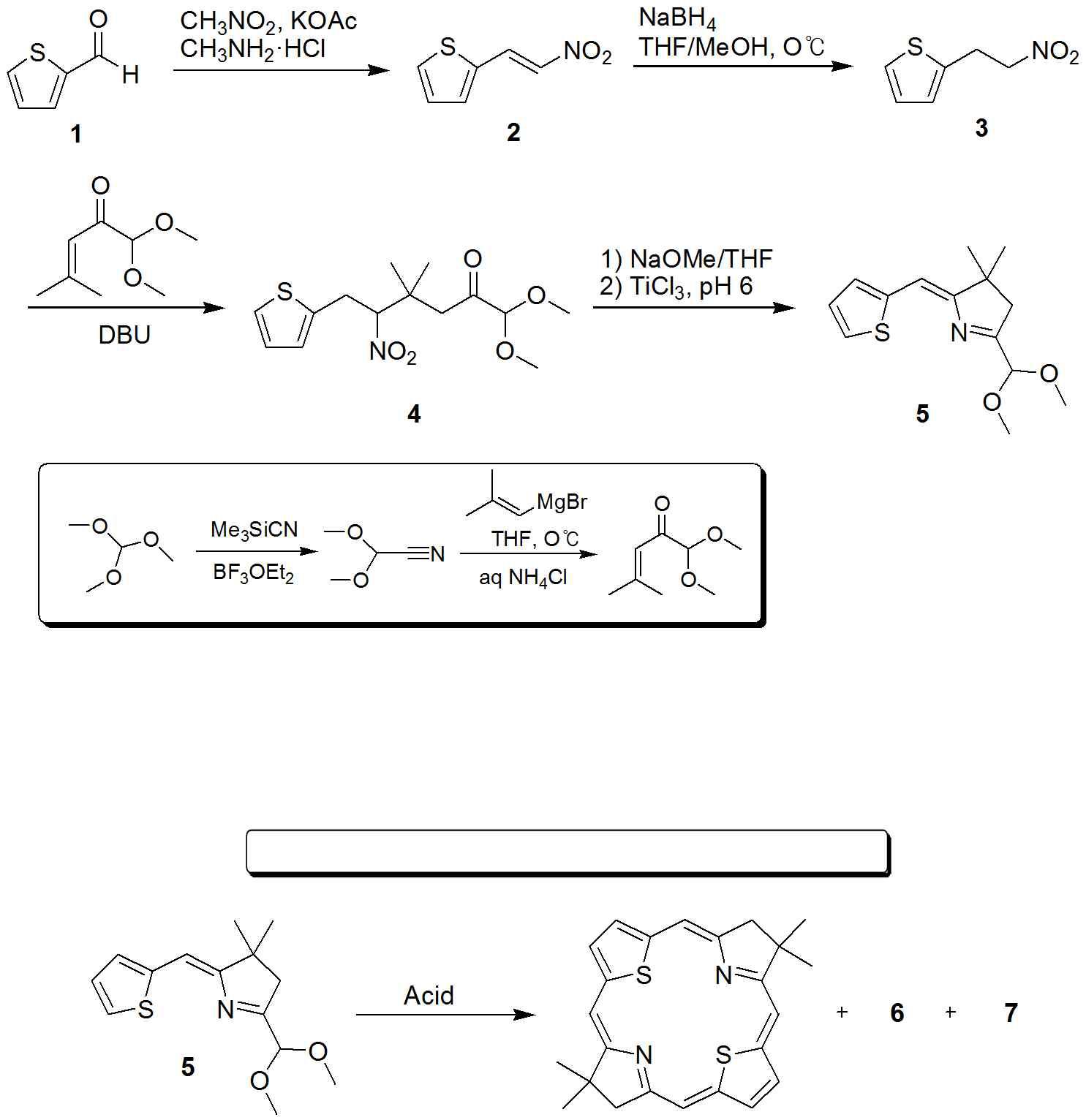 Thia-Bacteriochlroine 합성 경로