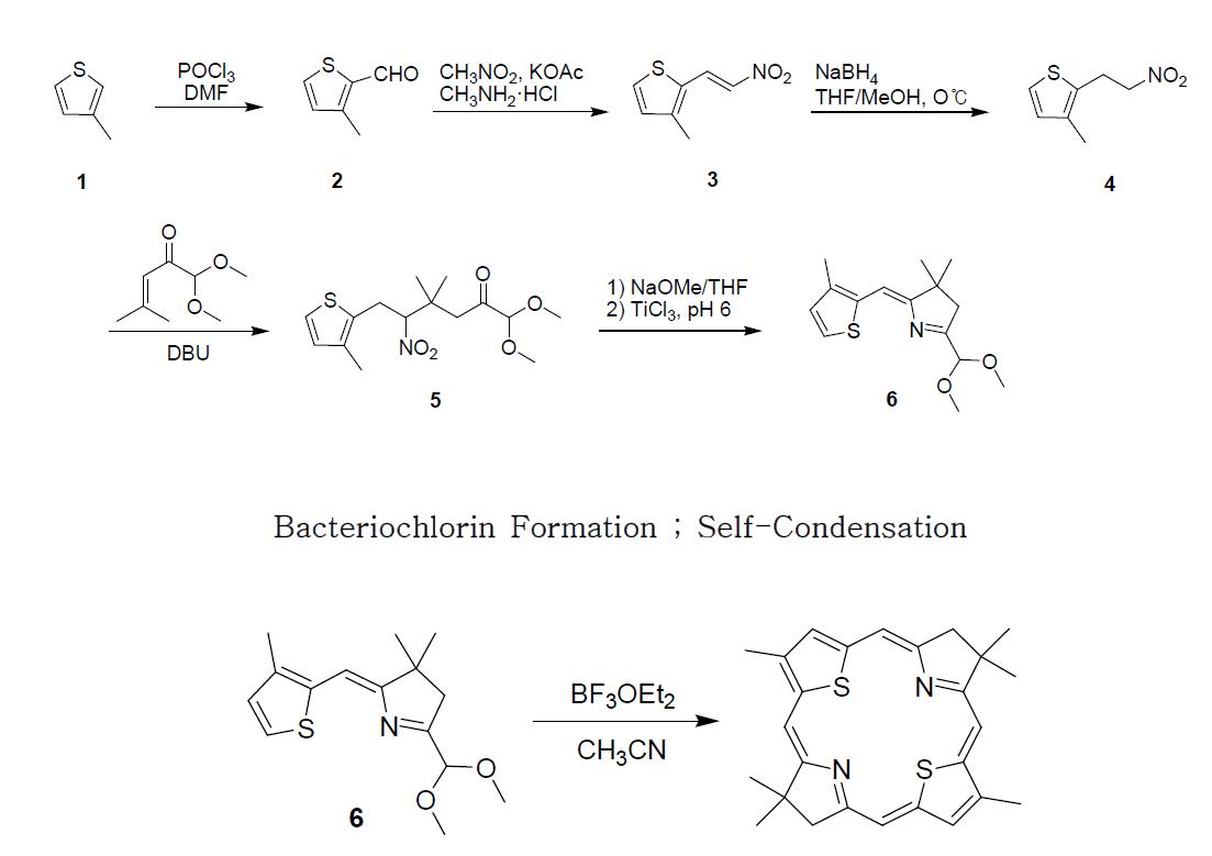 3-methyl-Thia-Bacteriochlroine 합성 경로