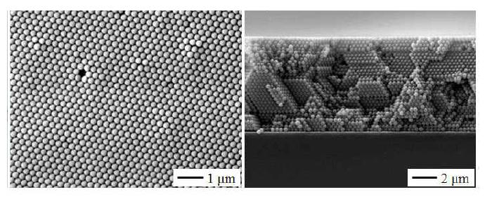 폴리스티렌 콜로이드 (지름 대략 370 nm) 광결정 구조의 top-view 및 cross-section view의 SEM 사진