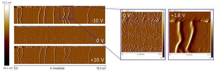 2nm 미세패턴이 수직방향으로 형성된 표면 (0V) 이미지와 전압 (± 10V)을 인가하였을때만 나타나는 탄소나노튜브의 전도성 AFM 이미지