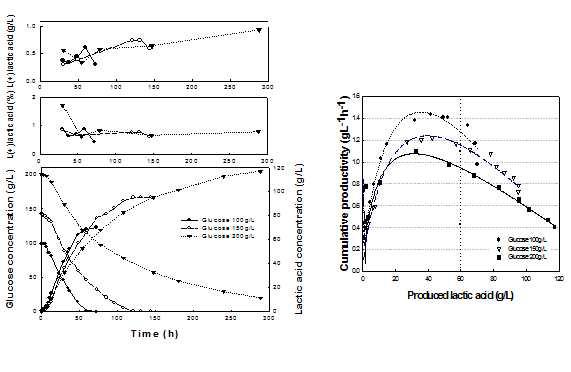 D-Lactic acid 생산을 위한 회분식 배양