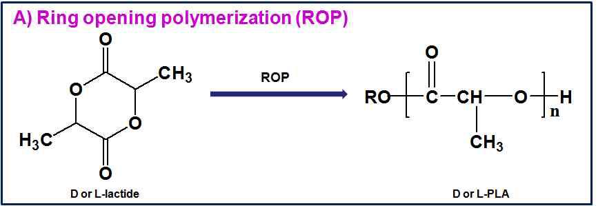 PLA 중합을 위한 Ring Opening Polymerization