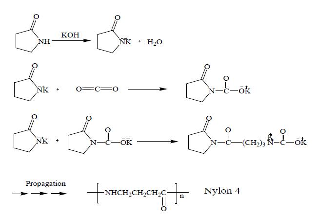 나일론 4 중합 메카니즘