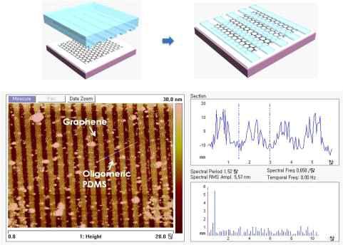 PDMS 올리고머 전사의 모식도