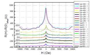 그래핀 소자의 magnetoresistance 특성