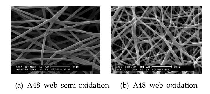 A48 web 의 semi-oxidation과 oxidation 처리를 했을 때의 SEM 이미지