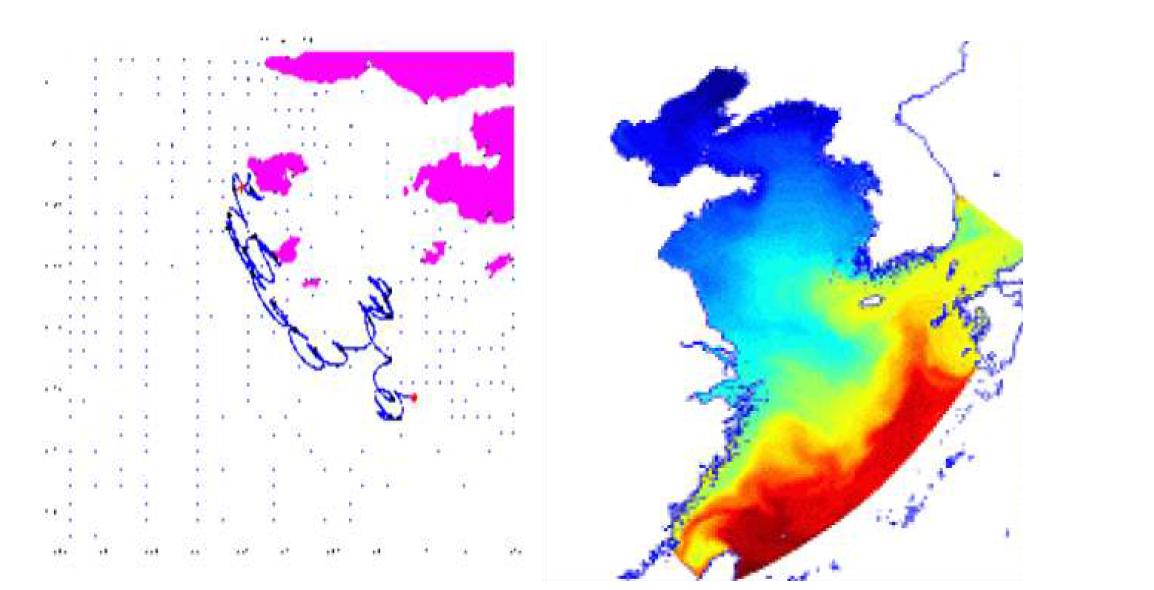 탐색 및 구조작전 지원을 위한 이동 추적(좌측) 및 해수면 온도(우측) 예시