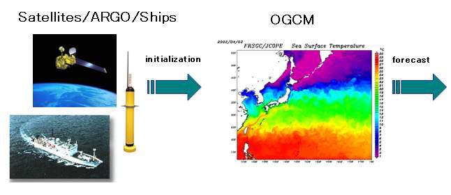 JCOPE의 인공위성 자료와 현장 관측자료를 이용한 일본 근해의 해황