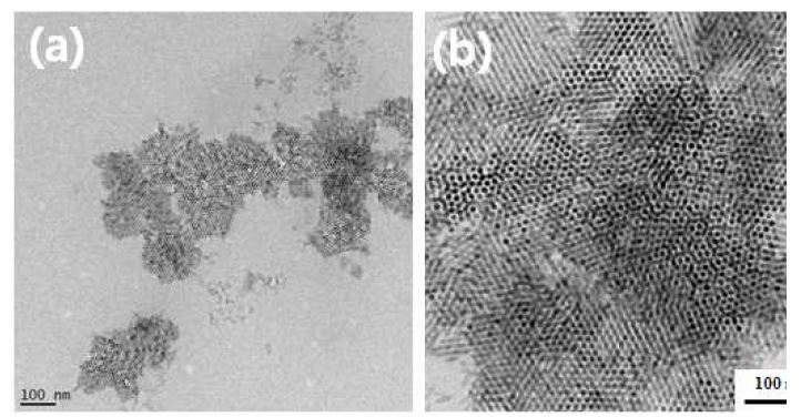 그림 13. (a) 저농도와 (b) 고농도에서의 양자막대기 유도조립