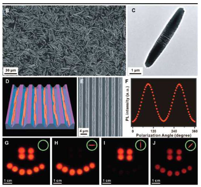 그림 15. Needle 형태의 양자막대기 유도조립체의 전자현미경 사진 및이를 이용한 소자의 편광 발광 특성
