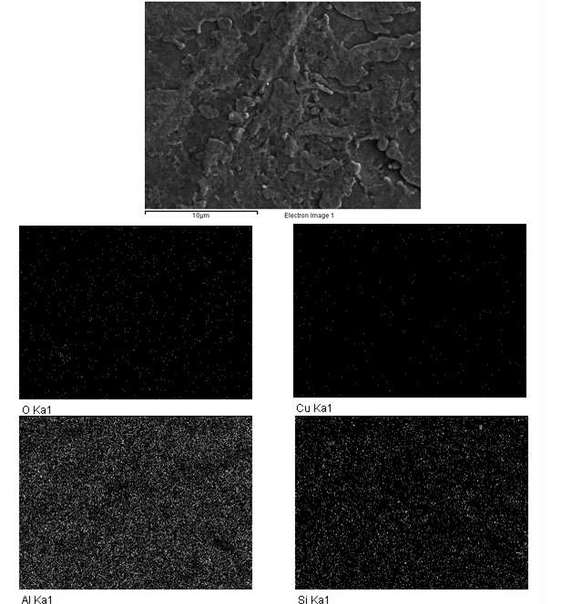 그림 2-6. ACD12종 Al 기판 표면 EDX mapping