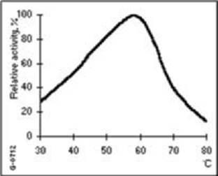 단백질 분해효소(Alcalase 2.5L)의 최적 반응 온도