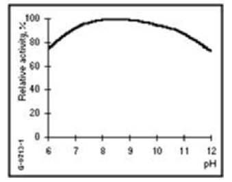 단백질 분해효소(Alcalase 2.5L)의 최적 pH