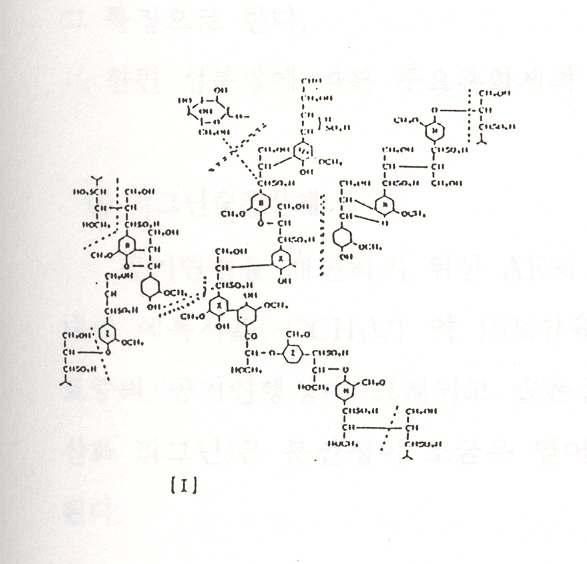 리그닌 술폰산계 화학 혼화제의 분자 구조