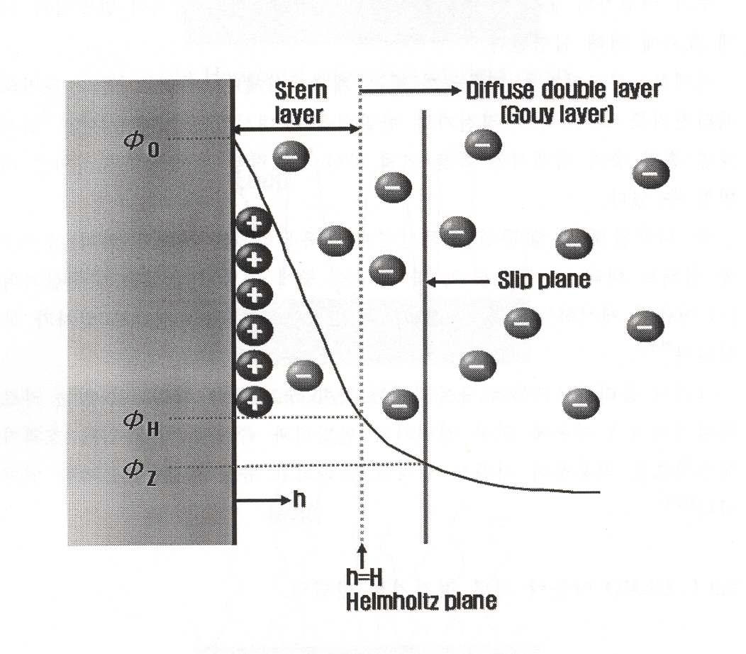 Stern 및 Gouy 층의 모식도 (표면의 전하는 (+)로 가정)