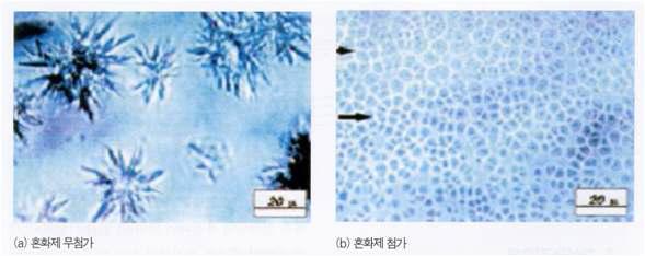 고유동화제 사용에 따른 시멘트 입자의 분산