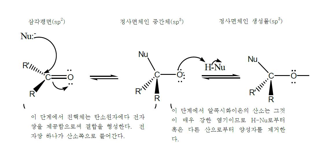 강한 친핵체의 알데하이드에 친핵성 첨가반응의 메카니즘