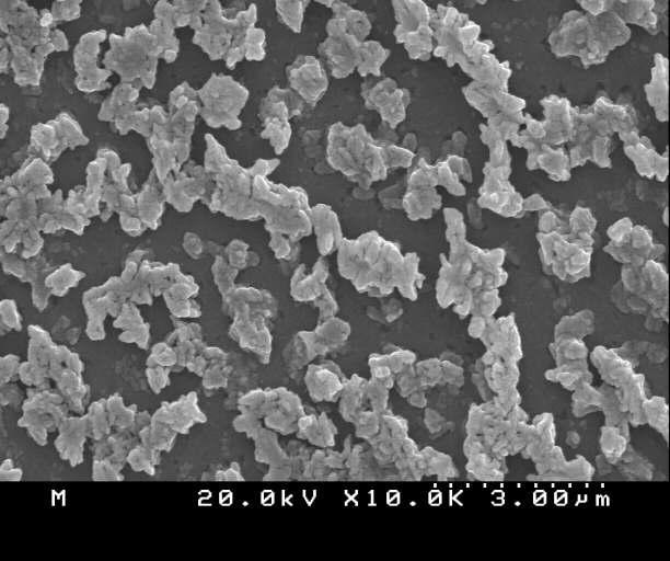 합성된 sulfonated methyol urra-melamine copolymer의 SEM 이미지