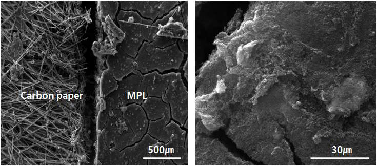 carbon paper의 MPL 처리/미처리 표면 SEM 이미지