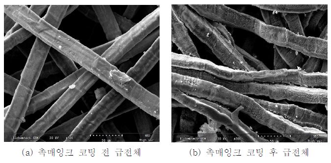 촉매 코팅 전, 후 급전체 SEM 사진