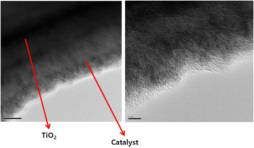 3회 코팅된 동공전극(TiO2)의 촉매 코팅 경계면