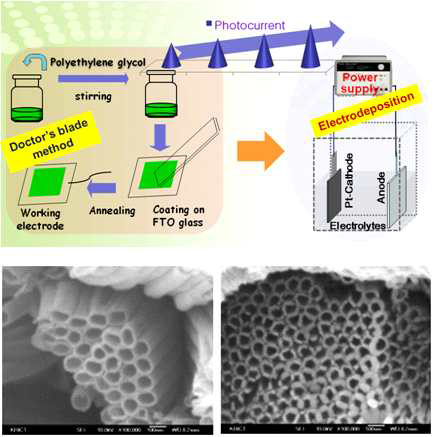 Electrodeposition 방법에 의해 제조된 TiO2 nanotube