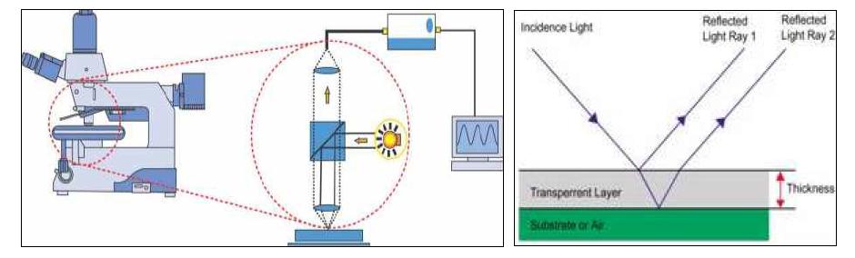 박막두께 측정 장치의 개념도