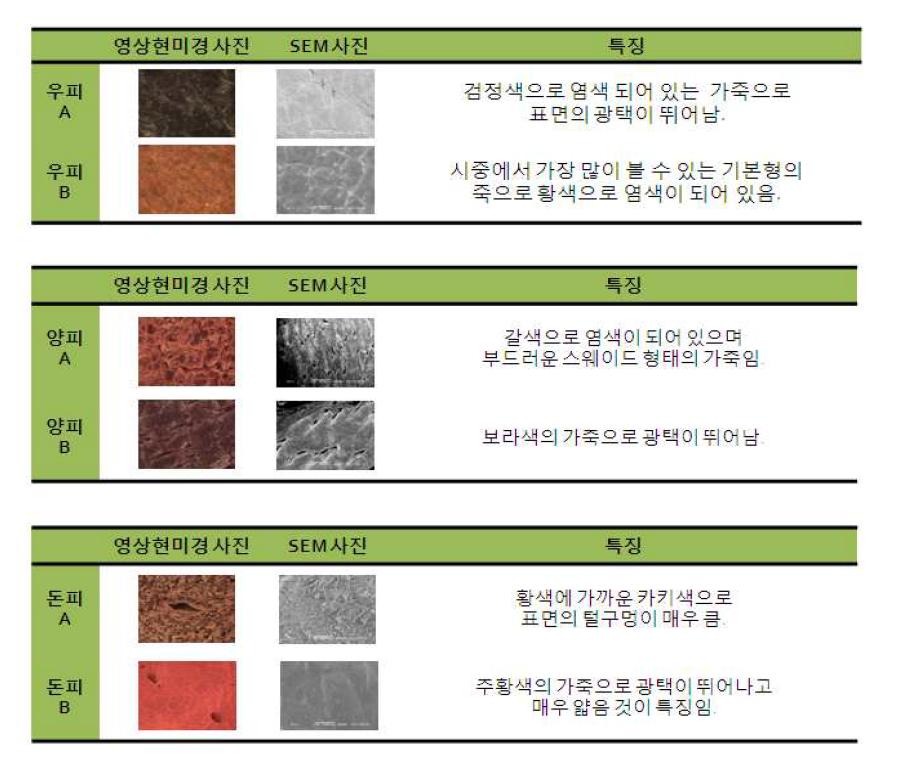 가죽의 특징