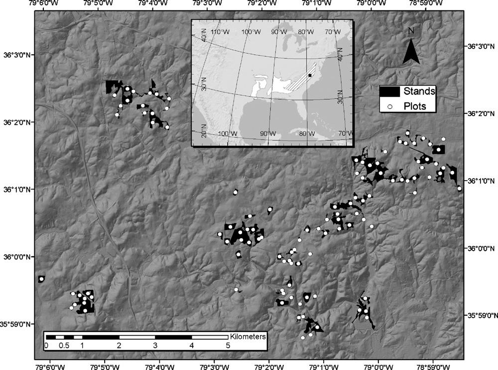 LiDAR, radar, 현장조사를 통한 임관높이 추정