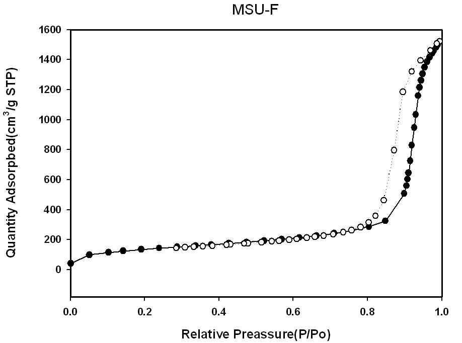 MSU-F의 N2 등온흡탈착 곡선.