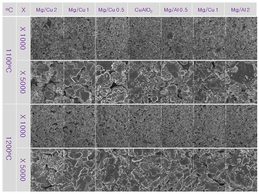 Mg-doped CuAlO2 의 조성별, 소결 온도별 미세조직