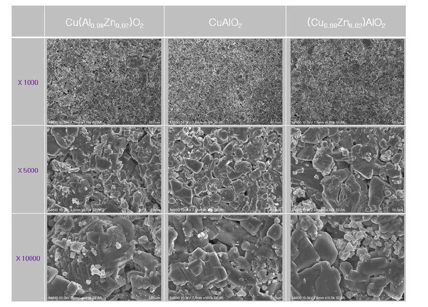 1100도에서 소결한 Zn-doped CuAlO2 의 조성별 미세조직