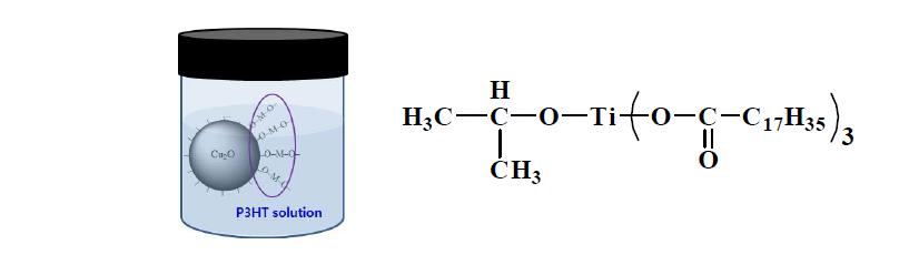 Cu2O/P3HT 하이브리드 반도체 용액과 표 면처리제의 구조