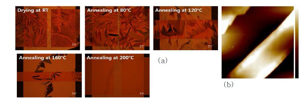 (a) 열처리 온도에 따른 TIPS-pentacene의 morphology 변화, (b) 열처 리 온도 T=RT 일 때 AFM을 통한 morphology 관찰