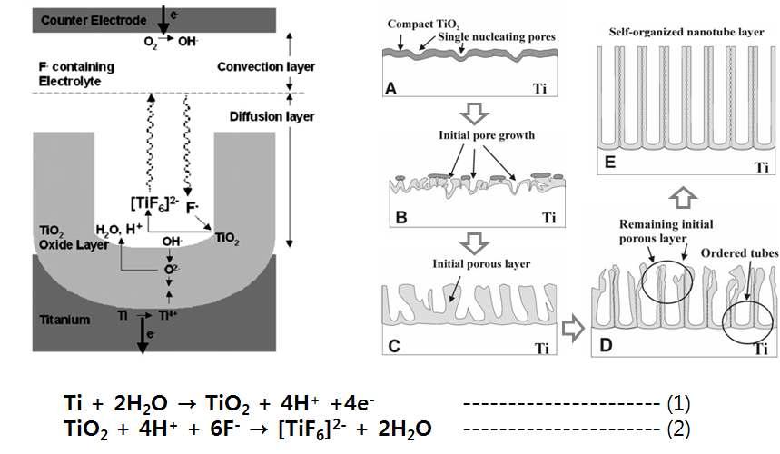 TiO₂ 나노튜브의 생성과정과 반응식